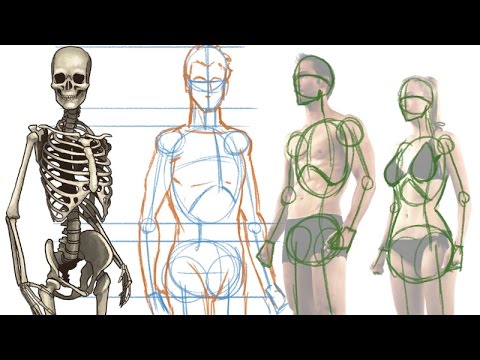 Video: How To Draw A Human Body