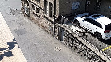 Mauersegler / Common Swift / Rondone / Martinet noir Slow Motion 9