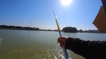 Câu Lục | CÂU CÁ TRẮM ĐEN CỰC PHÊ TẠI HỒ CÂU NÔNG LÂM - BẮC GIANG