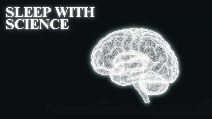 What Your Brain Is Quietly Doing While You Sleep | Sleep With Science