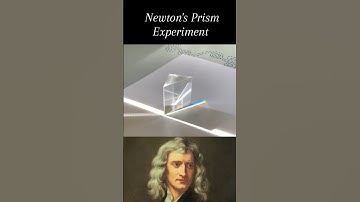 Newton