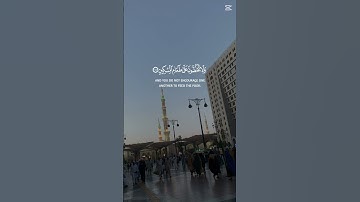 آيات تريح القلب #القرآن_الكريم #اكسبلور #ايات_قرانيه_قصيره #ارح_قلبك #تصويري   #المدينة_المنورة