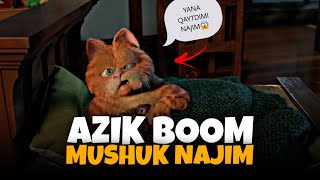 NAJIM PISHAK DUBLAJLARI | AZIK BOOM | OBUNA BOLING