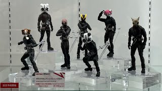 フィギュアーツ GMライダーセット＆デザイアグランプリ エントリーレイズセット レビュー】S.H.Figuarts デザイアグランプリ エントリーレイズセット