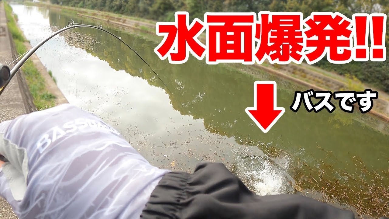 衝撃 鉛vsタングステン ヘビキャロで投げたらタングステンの方が飛距離出ると思うよね ゾディアス172mhとアンタレスdcmdで検証 Youtube