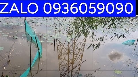 Dớn bắt cá. Dớn chặn sông. Xăm bắt cá. Bán dớn chặn sông. Bán dớn bắt cá.