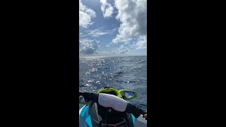 MARKSMAN - RUN E GRUNG FT. NILE (Sped Up)