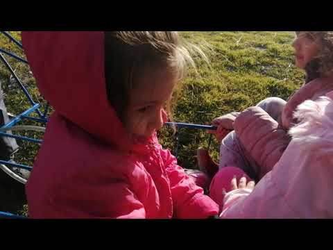 Kanat Plus Wheelbarrow 2 Wheels Buy Kanat Plus Wheelbarrow 2 Wheels Product On Globalpiyasa Com