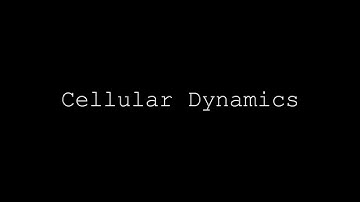 Cellular Dynamics (excerpt)