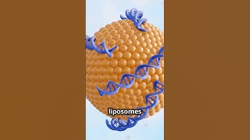 Revolutionary Liposome Drug Delivery Systems #drugdelivery #nanotechnology #biotech