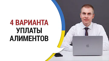 Как отследить оплату алиментов