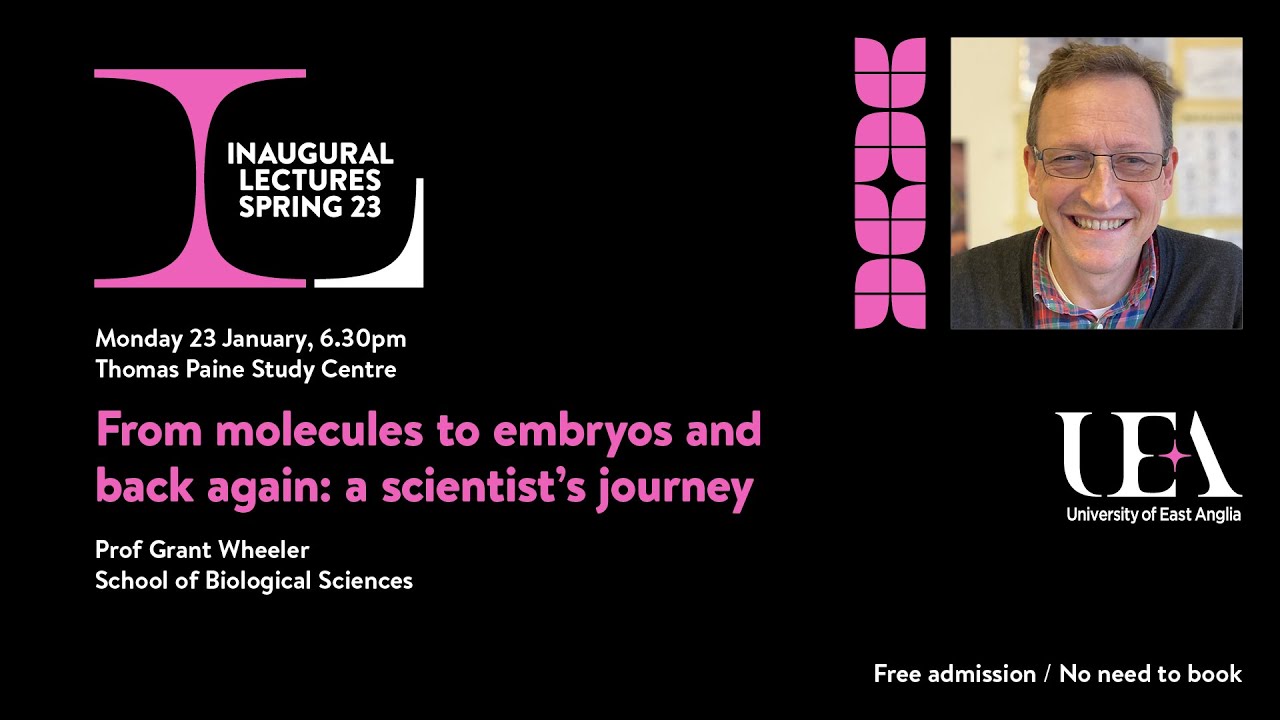From molecules to embryos and back again: a scientist's journey