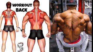 The strongest back exercisesاقوى تمارين الظهر