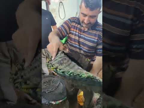 معصرة حجرية في بلدة مرحبا لواء الكورة