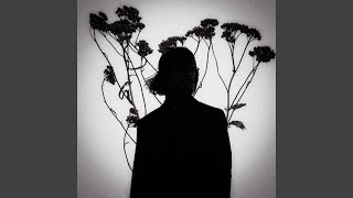 Срібний Пульсар