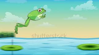 stock footage green frog jumping in the lotus leaves