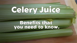 Healthy Celery juice to add-on to your daily drinks.