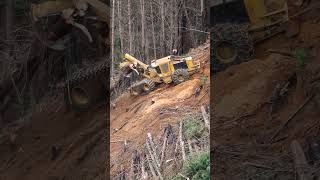 Forwarder on a Cable | Timber Extraction on a Steep Slope