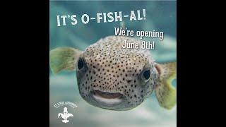 The St. Louis Aquarium at Union Station is o-fish-ally reopening June 8th!