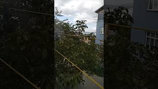 Unuttuğunuz Bir Şey Var Narin....