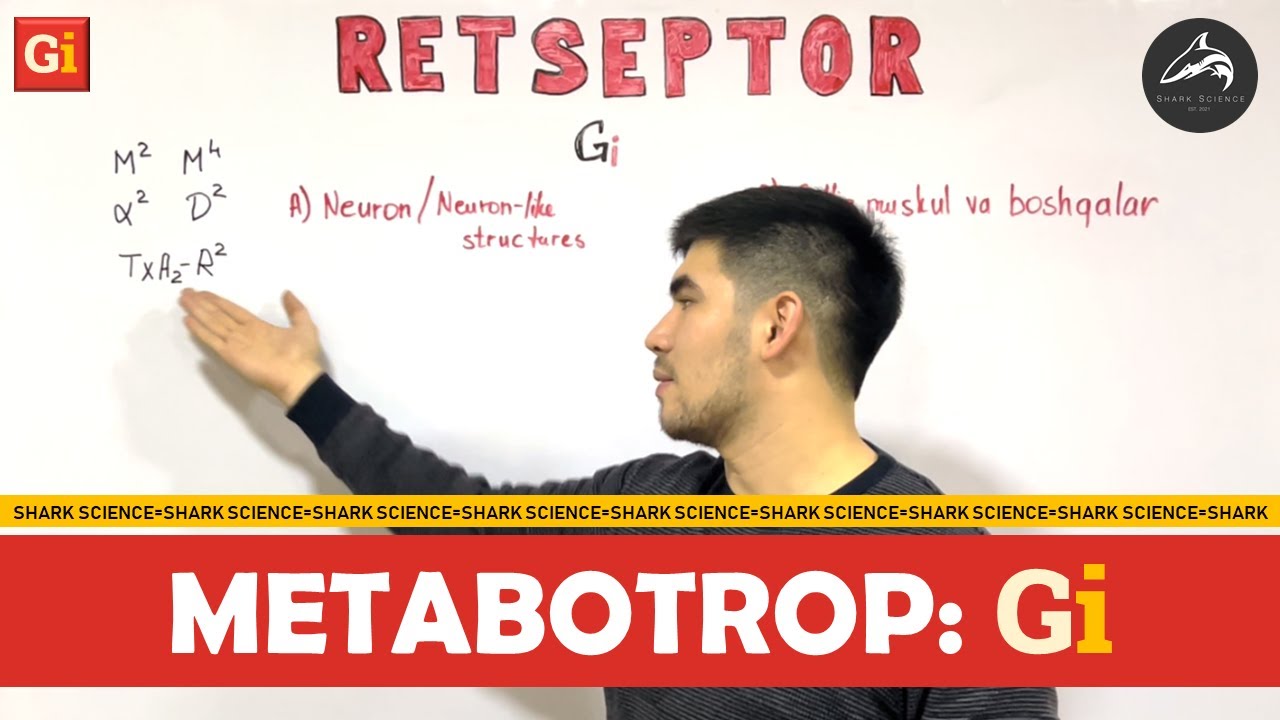 =𝐌𝐄𝐓𝐀𝐁𝐎𝐓𝐑𝐎𝐏 𝐑𝐞𝐭𝐬𝐞𝐩𝐭𝐨𝐫𝐥𝐚𝐫: 𝐆𝐢=