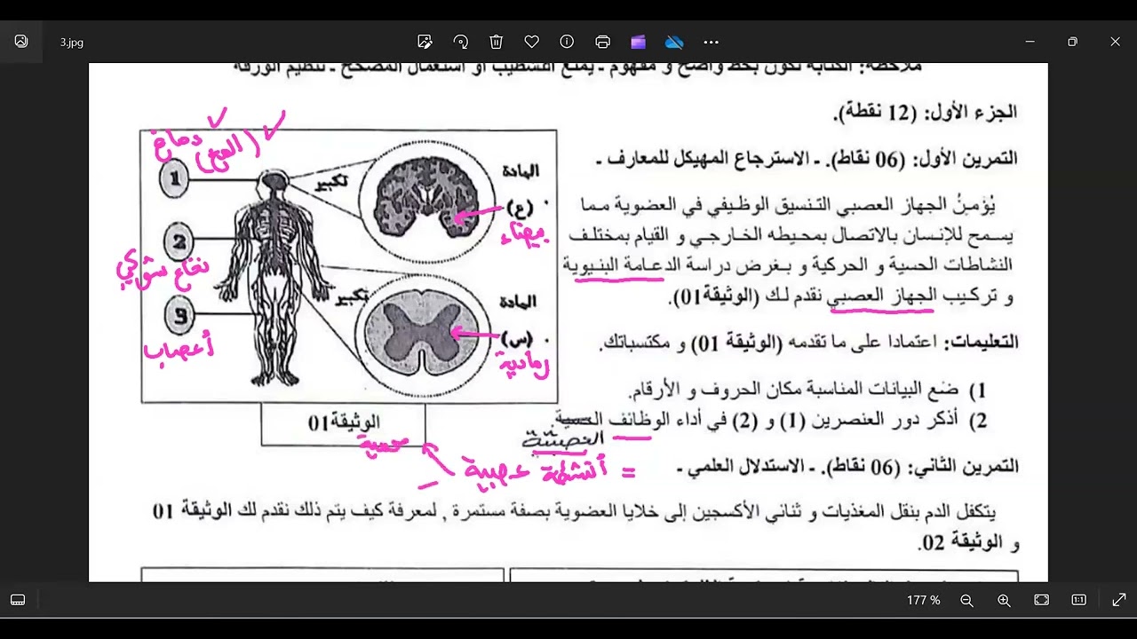 حل وضعيات جزئية حول الاتصال العصبي و انتقال المغذيات رابعة متوسط