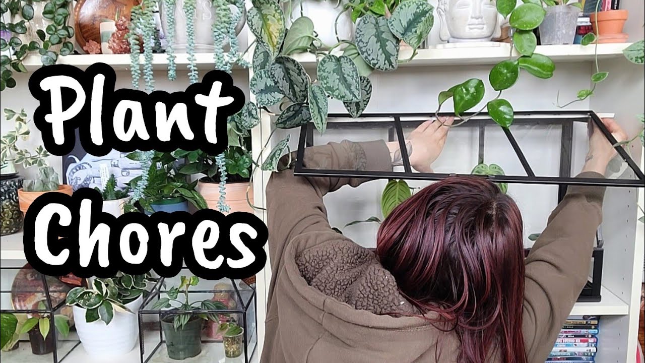 weather strip the mini IKEA greenhouse, water, fertilize & get plants ready for sale with me 💕