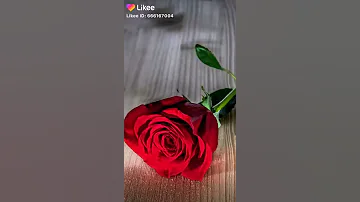 أغنية اللون الأحمر 