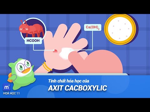 Video: Tại sao nhóm cacbonyl lại quan trọng?