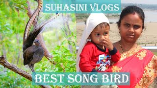 The Best Song Bird in the World | Telugu Vlogs form Iraq