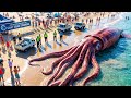 $5,000,000 Giant Squid Catch – Inside the Most Extreme Fishing Operation at Sea