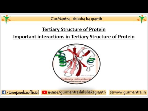 tertiary structure of protein
