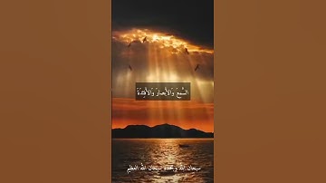 الشيخ محمد عبد الوهاب الطنطاوى --نوادر روعه رحمه الله #تلاوات