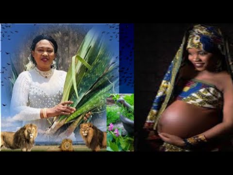 treat-salpingitis-with-natural-herbs,-get-pregnant-naturally