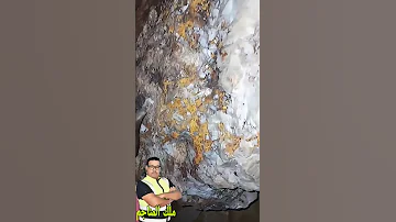 اكتشاف خليه الذهب 