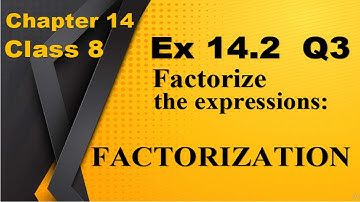 q3 ex 14.2 Class 8 Factorisation - Maths Class 8th - chapter 14 - Factorise the expressions class 8