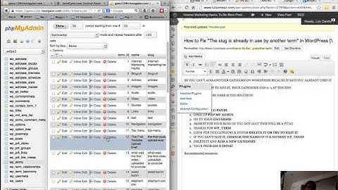 How to Fix The "slug is already in use by another term" in WordPress