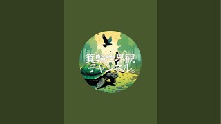 箕輪世界観チャンネル。 がライブ配信中！