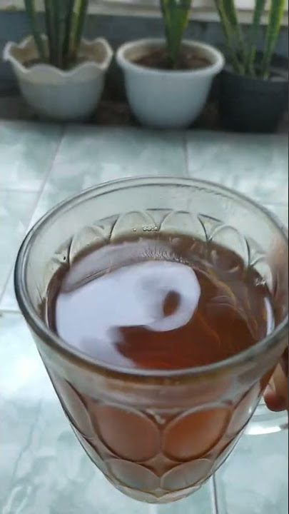 story wa ngeteh di pagi hari
