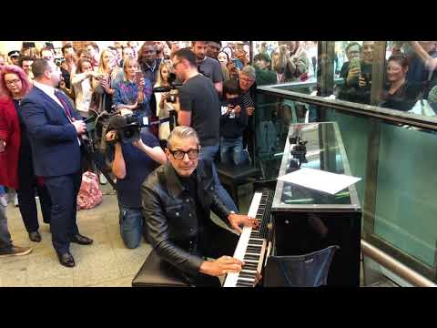 Jeff Goldblum Esta Lancando Seu Disco De Jazz Jeff Goldblum Esta Lancando Seu Disco De Jazz