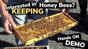 Beekeeping Demo