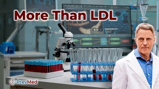 Understanding Lipid Fractionation screenshot 4