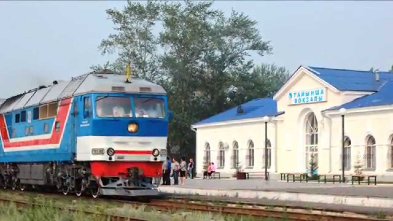 Тайынша казахстан Тайынша казахстан