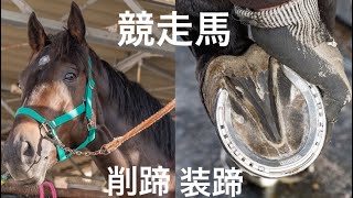 競走馬の削蹄・装蹄作業#65 Hoof Restoration Farrier - YouTube