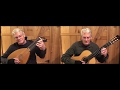 The wolven storm from witcher 3 soundtrack daniel estrem lute and guitar