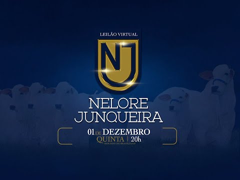 Lote 34 (Mônaco FIV Santa Irene - NMH 152)