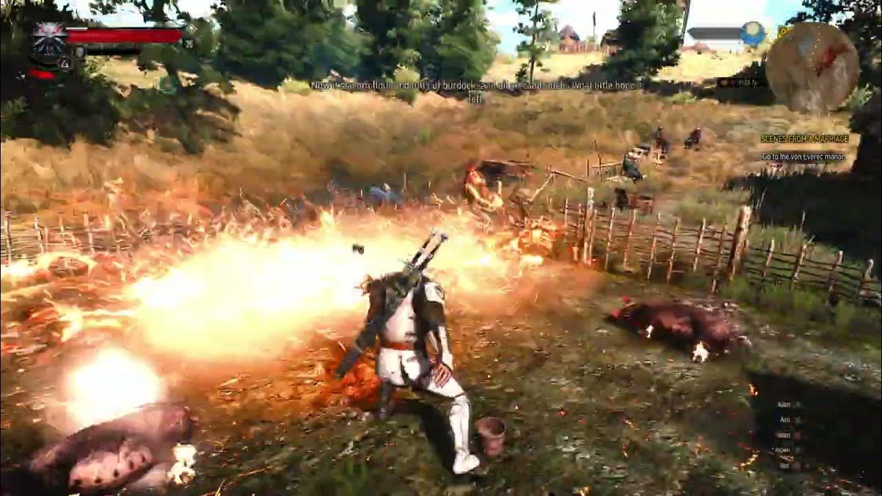 Witcher 3How to farm unlimited gold selling pig hides and pork YouTube