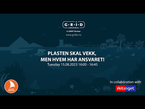 Video: Hvem har ansvaret for detektiverne?