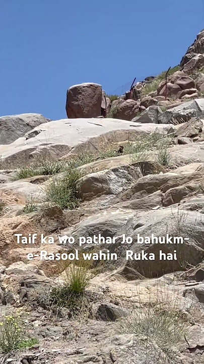 Taif incident/Taif main Rasool Allah ko pathar maray  gye #islamicvideo #religion #allah