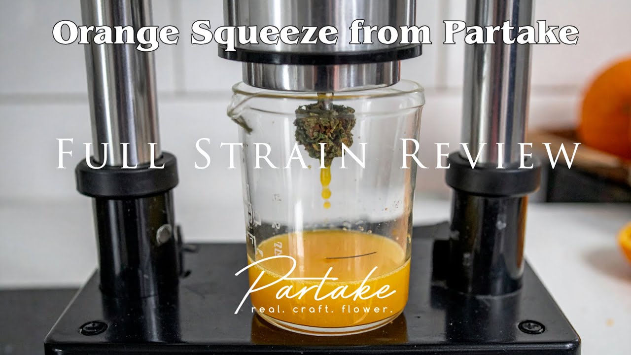 Orange Squeeze Strain Review - Partake